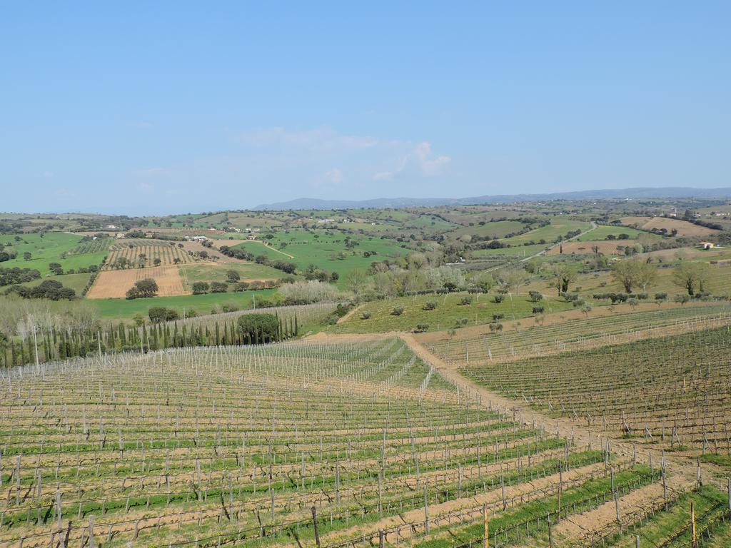 Poggio Lungo Guest House Grosseto Exterior foto